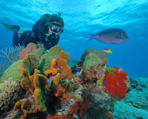 Mexico - Cozumel